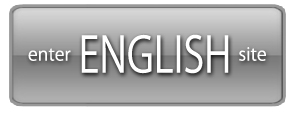 Enter English Site